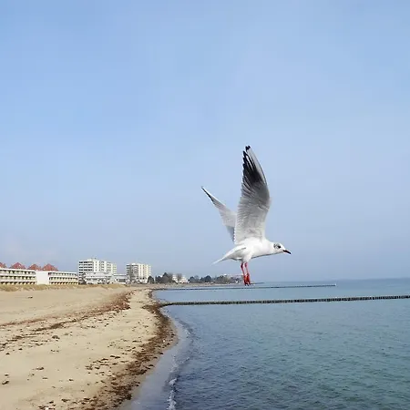Apartment Leuchtturm 16