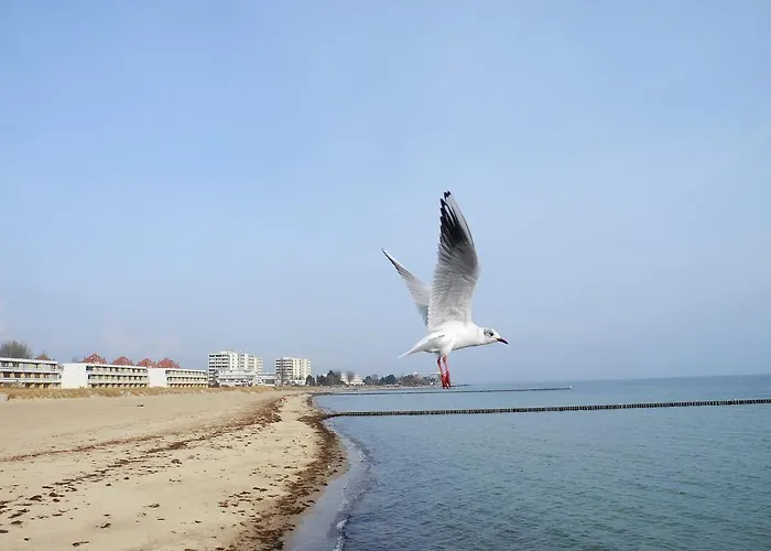 Appartement Leuchtturm 16