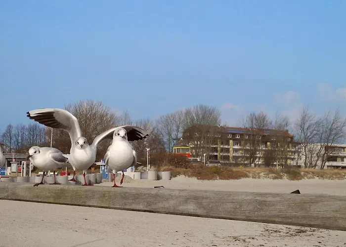 公寓 Leuchtturm 16 *