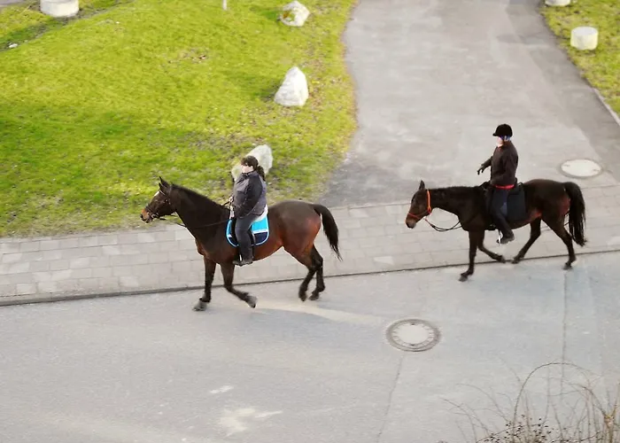 公寓 Leuchtturm 16 *